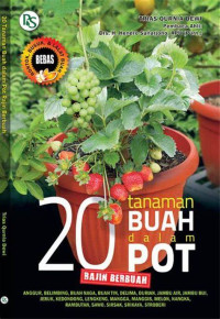 20 Tanaman Buah dalam POT