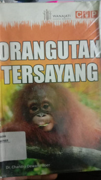 Orangutan Tersayang